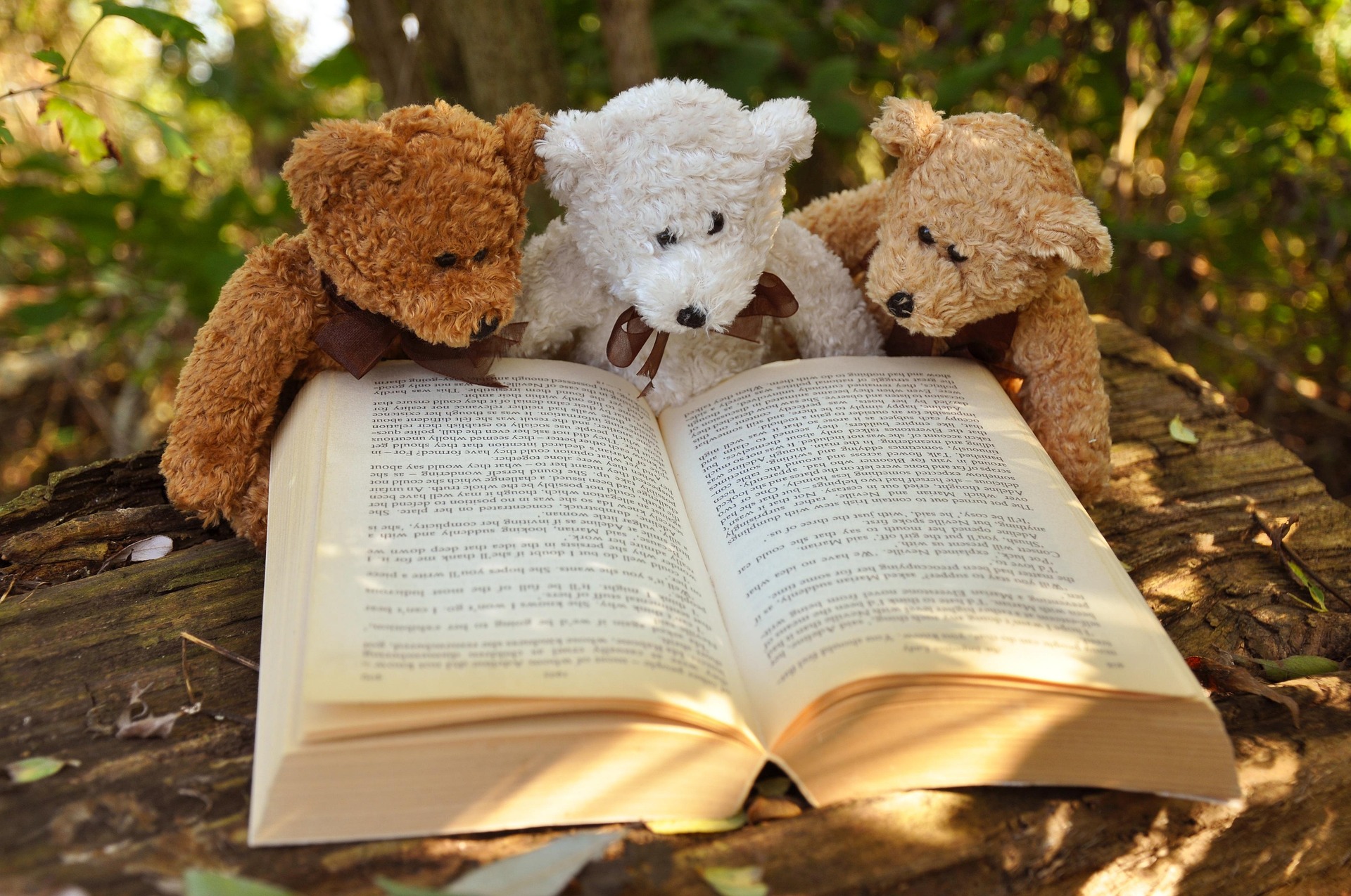 Classical Papers in Computer Science and Software Engineering: A Reading Group